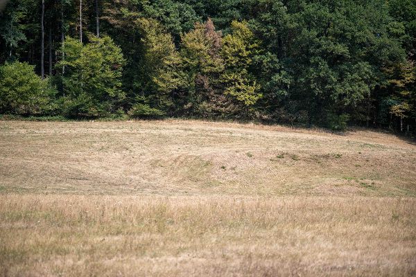 Trockenes Feld