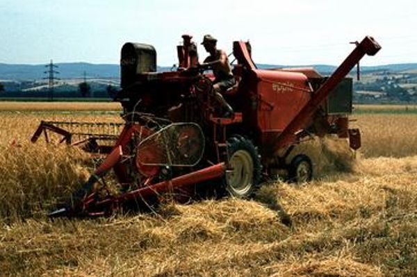 Mähdrescher bei Erntearbeiten im Sommer