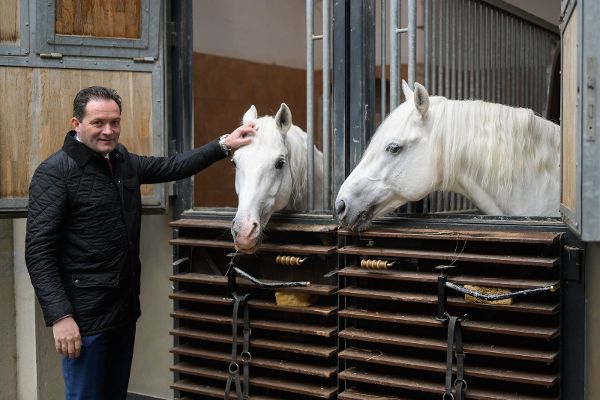 Bundesminister Norbert Totschnig steht links im Bild und streichelt einen Lipizzaner, der mit einem Strohhalm im Maul in einer Pferdebox steht. Ein weiterer Lipizzaner steht in einer angrenzenden Box und blickt in Richtung Minister und Pferd. Die Tiere blicken sehr gutmütig.
