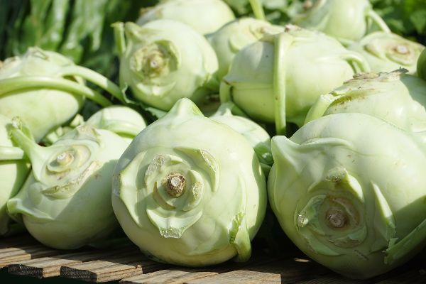 mehrere übereinanderliegende Kohlrabi-Knollen 