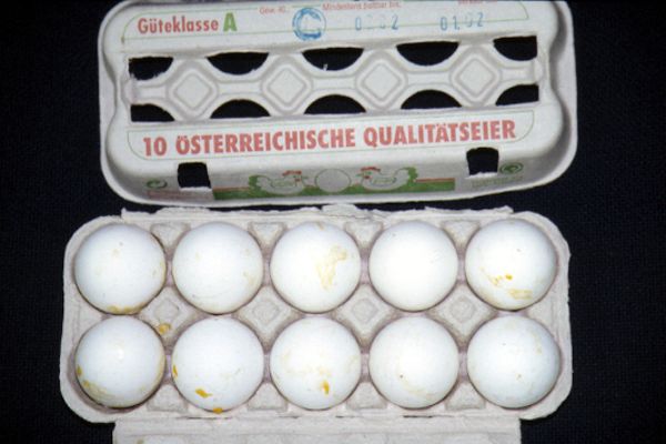 Eier
