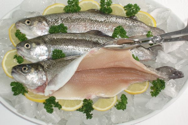 Fisch aufgeschnitten