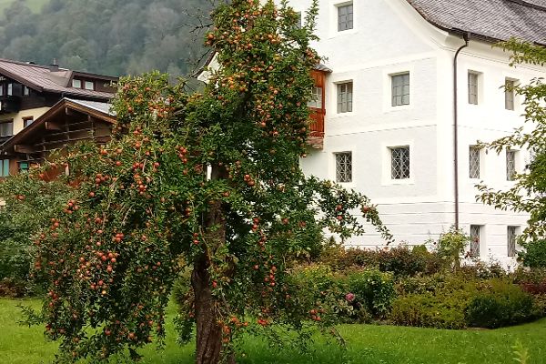 Bramberger Obstsäfte