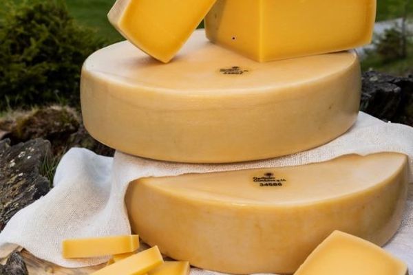 Gailtaler Almkäse g.U.