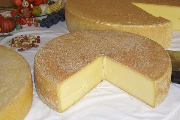 Paznauner Almkäse