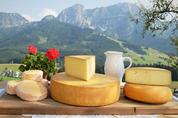 Tennengauer Almkäse
