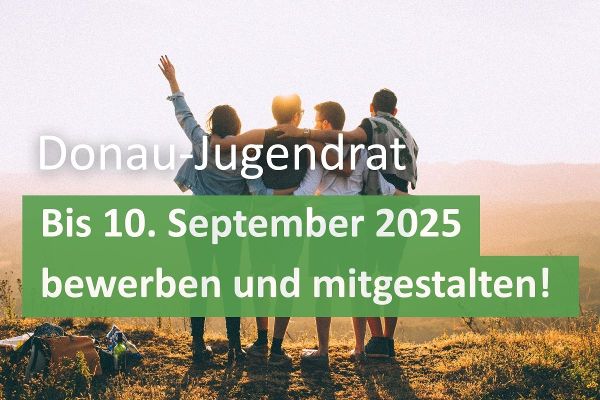 Donau-Jugendrat - bis 10. September 2025 bewerben und mitgestalten! Vier Jugendliche von hinten im Sonnenuntergang. 