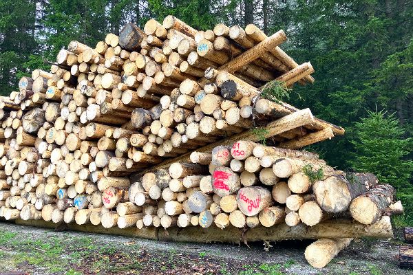 Foto eines Holzstoßes