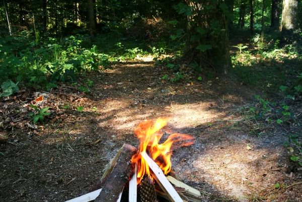 brennendes kleines Lagerfeuer im Wald