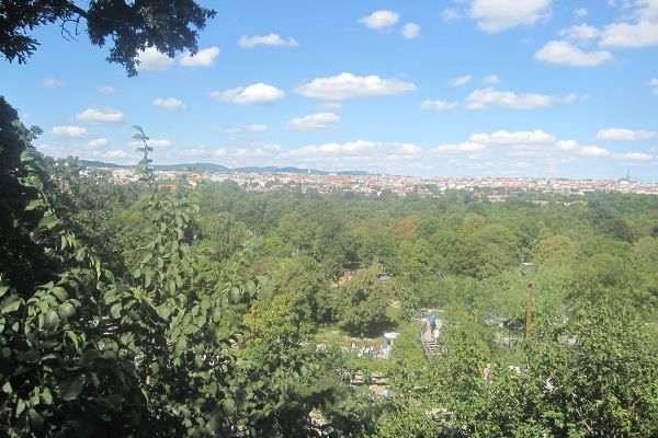 Wald im Umfeld urbanen Raumes 