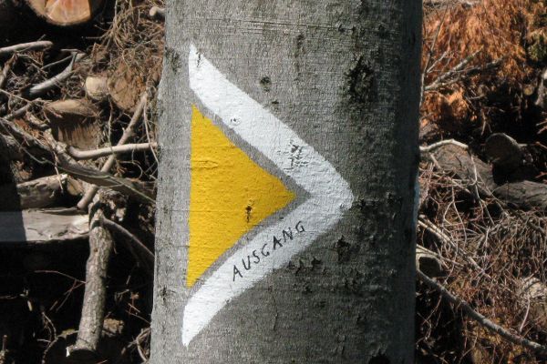 Markierung eines Wanderwegs im Wald
