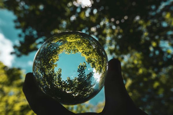 Im Vordergrund eine Hand, die eine Glaskugel hält, in der sich die Bäume des Waldes, der im Hintergrund sichtbar ist, spiegeln.