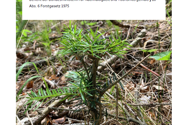 Cover Wildschadensbericht 2018
