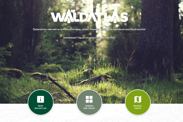 Screenshot der Homepage