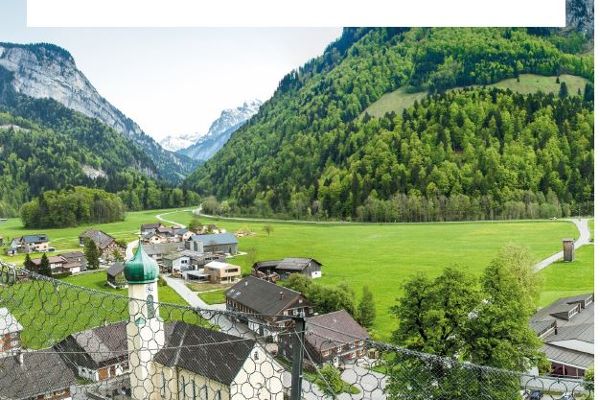 Coverbild Broschüre Steinschlagschutz in Österreich