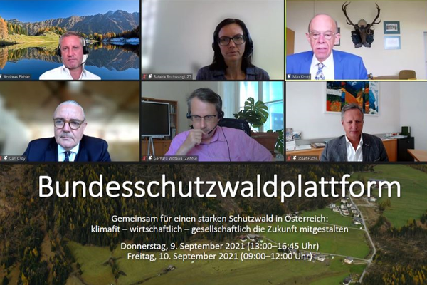 Screenshot vom Webinar der Bundesschutzwaldplattform