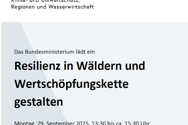 EInladung zum Webinar Resilienz