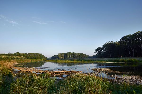 Gewässerökologie / Gewässerrenaturierung