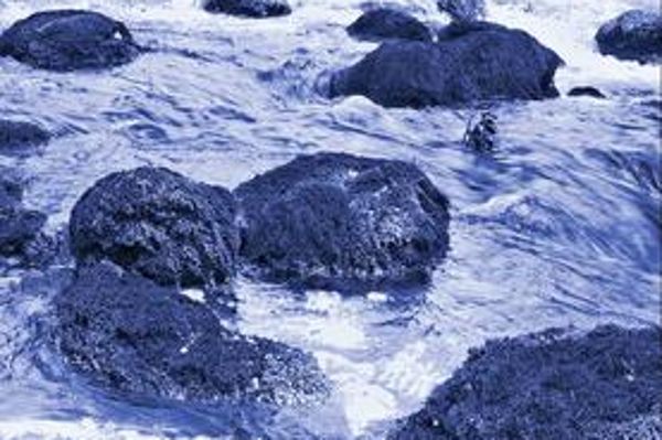 Coverbild Hydromorphologische Leitbilder