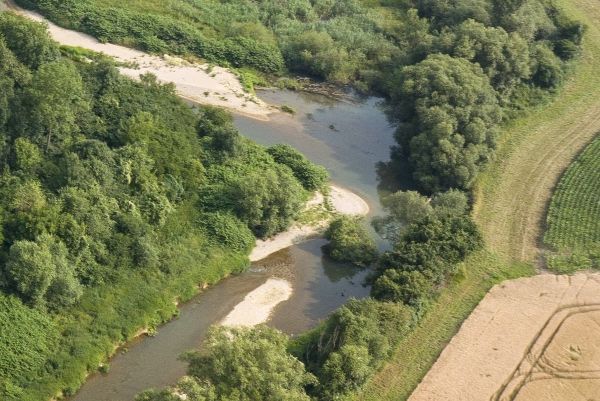 Bild der Pielach in Mühlau