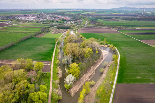 Renaturierung Leitha bei Gattenberg