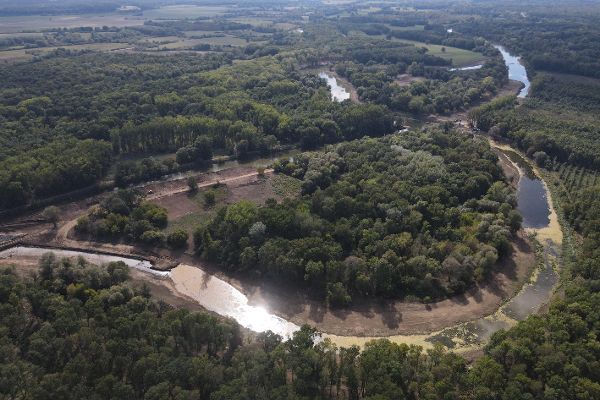 Luftaufnahme der March mit wieder angebundenen Flussarmen inmitten der bewaldeten Auenlandschaft.