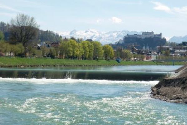 Vor dem Salzburger Panorama sieht man eine die Salzach durchquerende Sohlstufe
