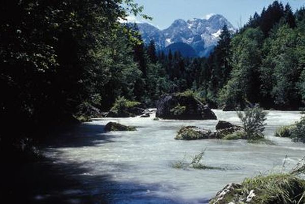 Flusslandschaft