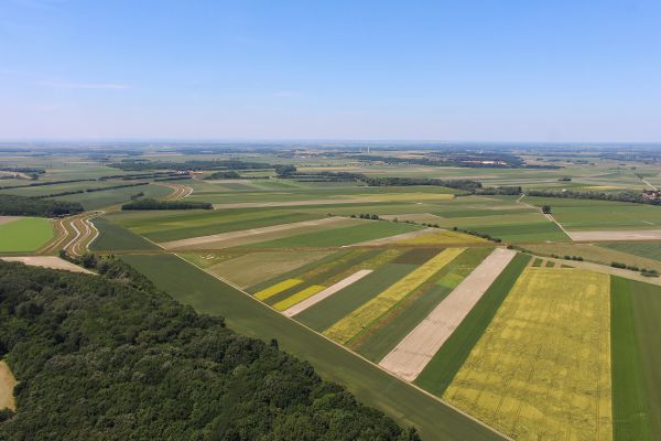 Blick auf die Marchfeldregion 