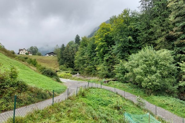 Haenge mit Wald und Wiesen in der Mitte der Weg und Flusslauf