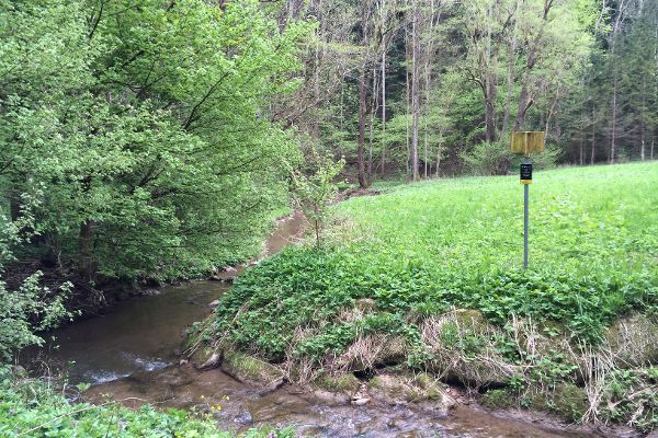 Bach im L-foermigen Lauf umgeben von gruenen Flaechen und Waeldern