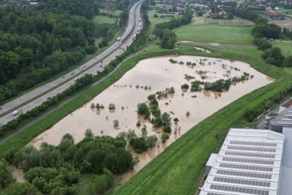 landschaftsbild mit viel gruen und wasserflaeche