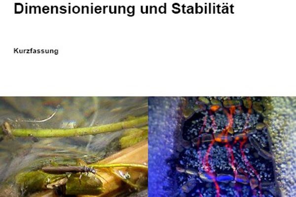 Coverbild der Broschüre Pendelrampe