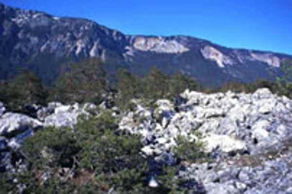 Schütt-Dobratsch