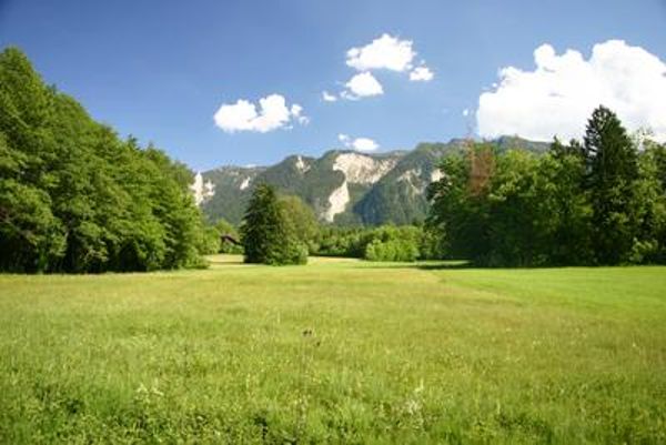 Wiesen mit Untersberg