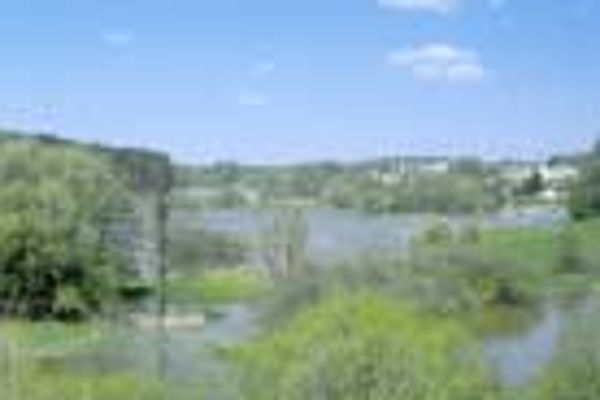 Blick Richtung tschechische Grenze. Vernetzung von Flussarmen bei Hochwasser