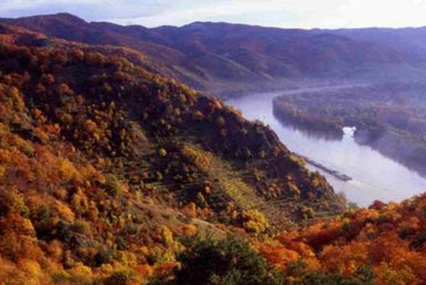 Blick vom Vogelberg in die Wachau