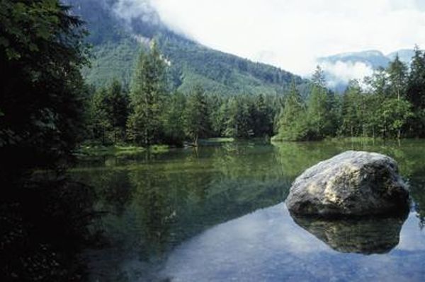 Gebirgssee im Sommer