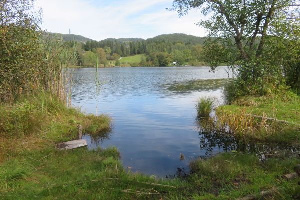 Hafnersee