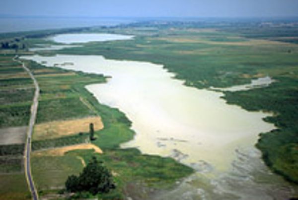 Luftaufnahme Neusiedler See - Seewinkel