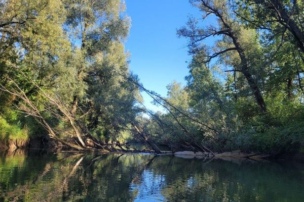 Baeume umranden kreisfoermig einen Fluss