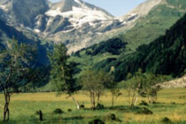 Rotmoos im Fuschertal