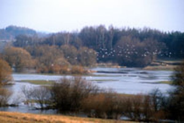 Waldviertler Teich-, Moor- und Flusslandschaft