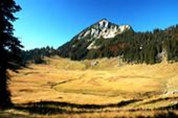 Naturlandschaft - Wildalm