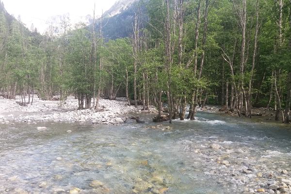 Anlaufbach - Wasserwald