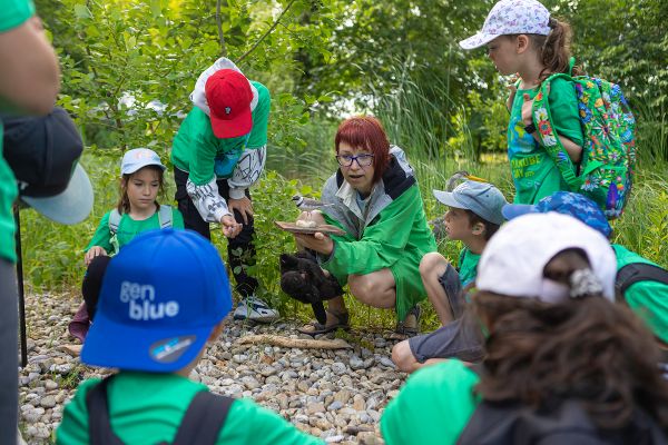 Kindern wird bei einer Station beim Danube Day 2025 etwas erklärt.