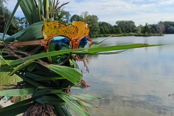 Top 1 des Danube Art Masters 2025 in der Kategorie Kunstwerk bei den 6 bis 11 Jährigen.