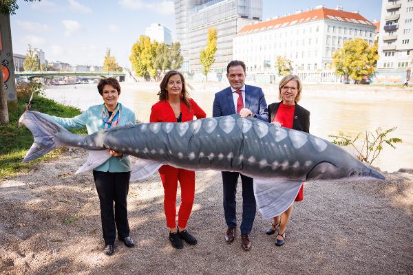 Auf dem Bild sind Bundesminister Totschnig, Bundesministerin Gewessler, Umweltstadträtin Sima und BOKU Rektorin Eva Schulev-Steindl zu sehen