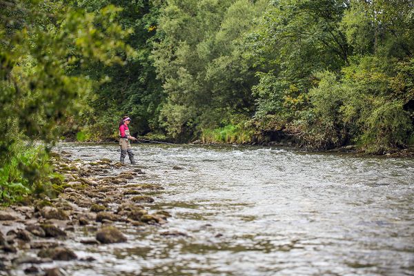 Eine Dame steht in einem Fluss und angelt