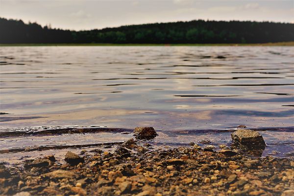 Winkelauerteich im Waldviertel